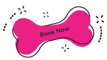 Book Now For An Appointment